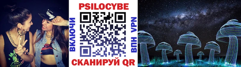 дарнет шоп  Рыбное  Галлюциногенные грибы Magic Shrooms 